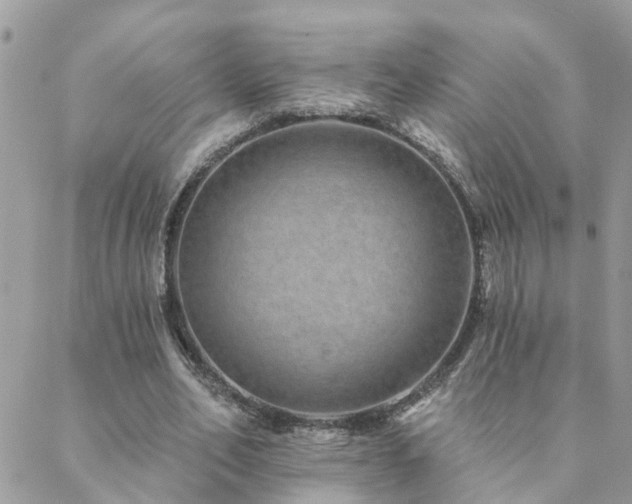 X0000088430582200705221249