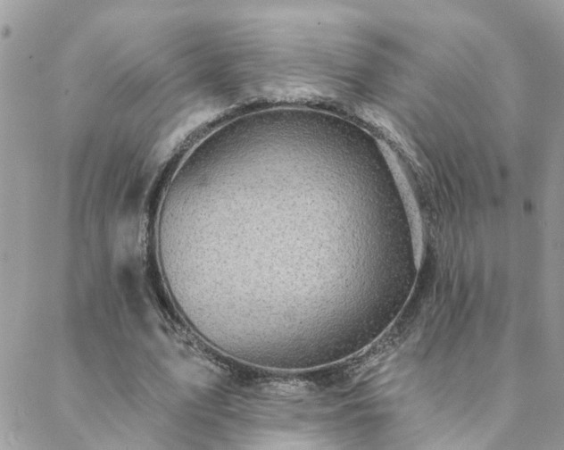 X0000088430583200705221249