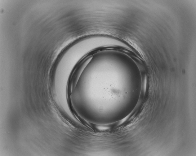 X0000088430584200705221249