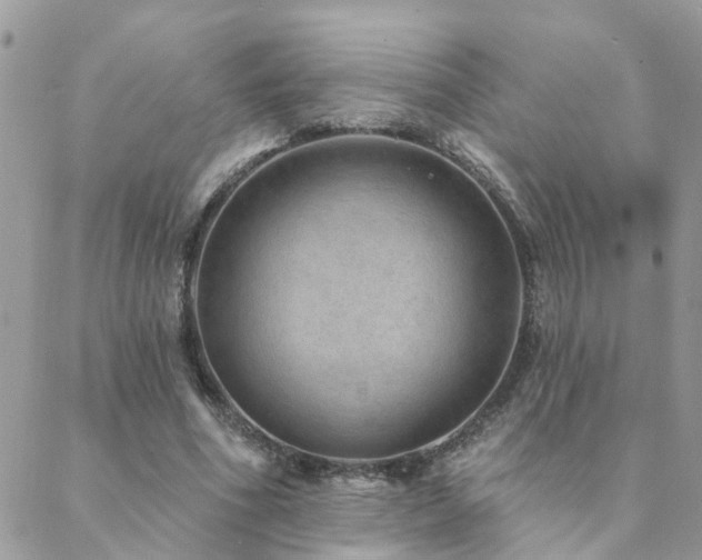 X0000088430586200705221249