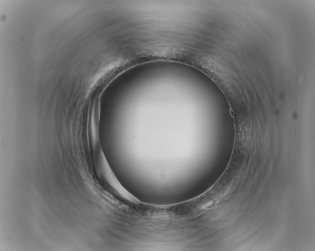 X0000088430587200705221249