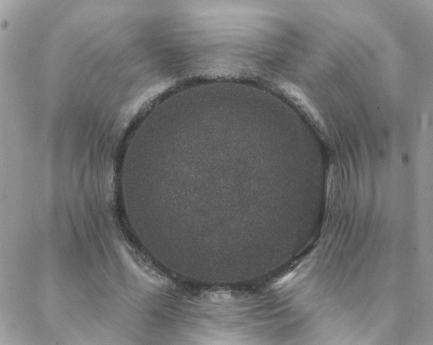 X0000088430588200705221249