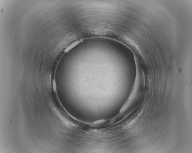 X0000088430589200705221249