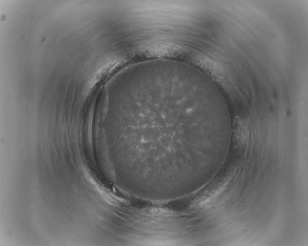 X0000088430590200705221249