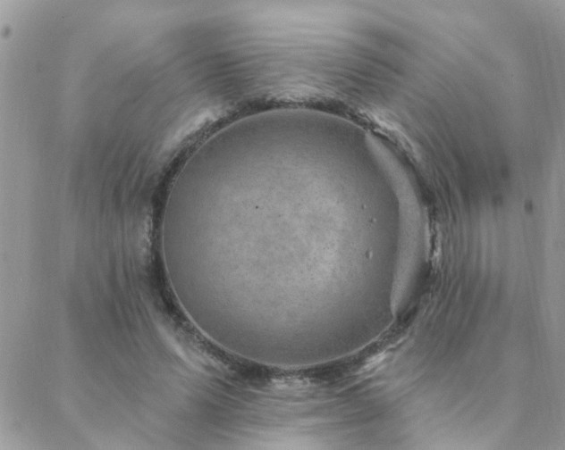 X0000088430591200705221249