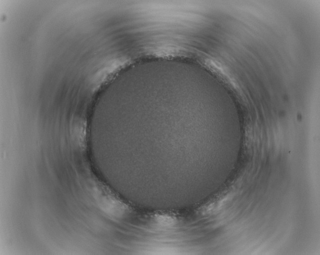 X0000088430592200705221249