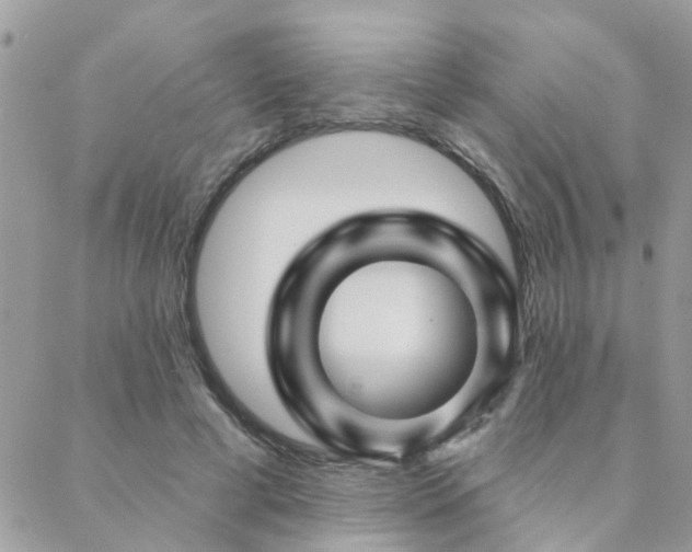 X0000088430593200705221249