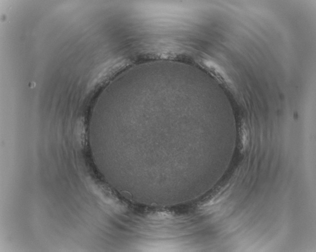 X0000088430594200705221249