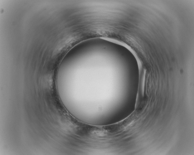 X0000088430595200705221249