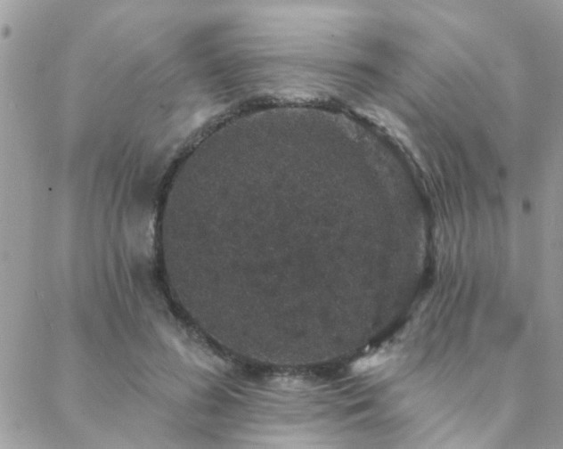 X0000088430596200705221249