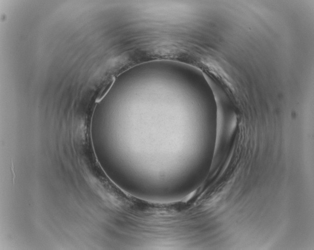 X0000088430597200705221249