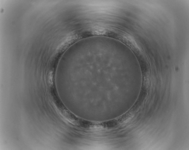 X0000088430598200705221249