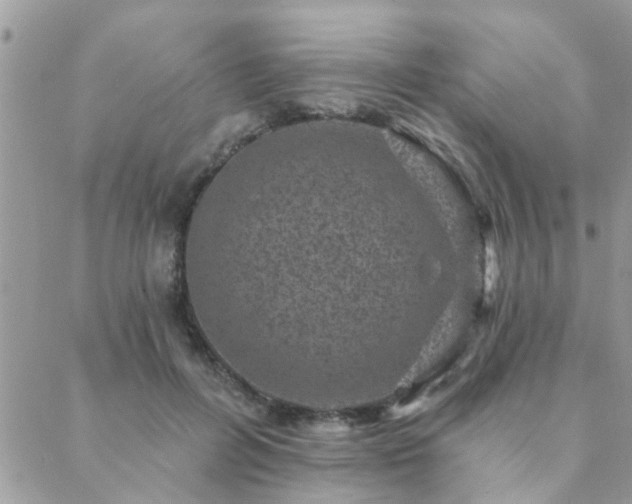 X0000088430600200705221249