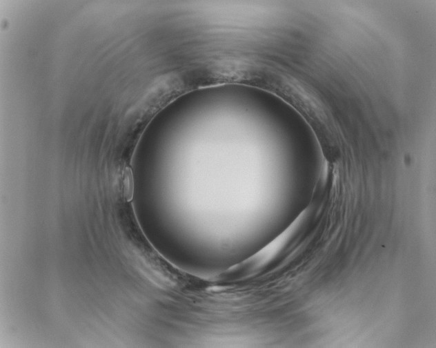 X0000088430601200705221249