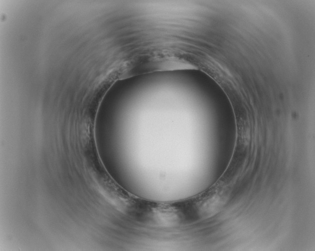 X0000088430603200705221249