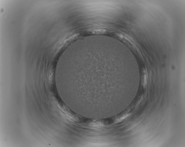 X0000088430604200705221249