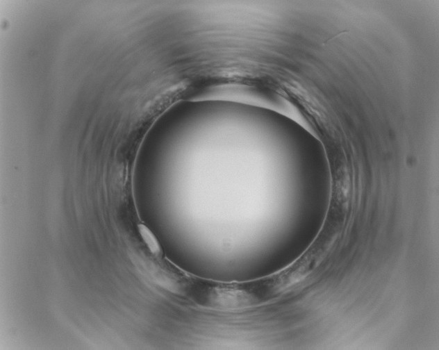 X0000088430605200705221249