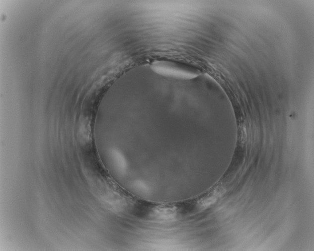 X0000088430606200705221249