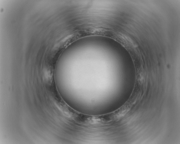 X0000088430607200705221249