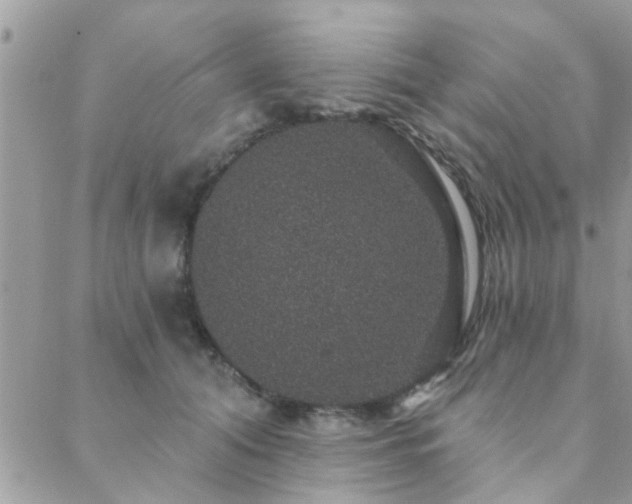 X0000088430608200705221249