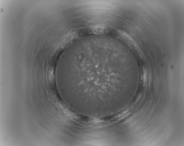 X0000088430610200705221249