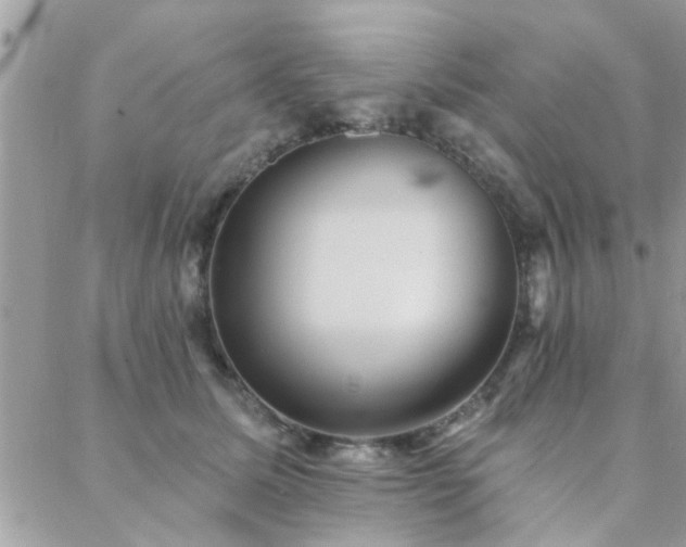 X0000088430611200705221249