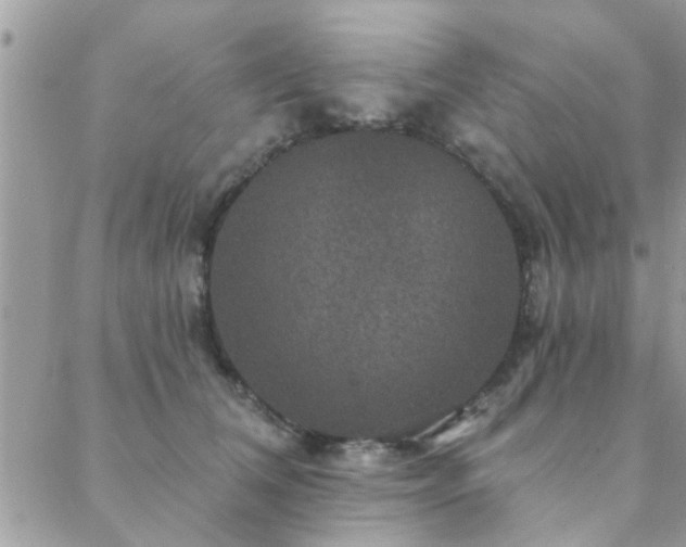 X0000088430612200705221249