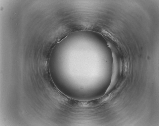 X0000088430613200705221249