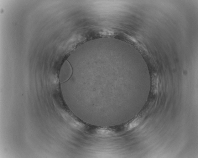 X0000088430614200705221249