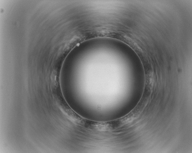 X0000088430615200705221249