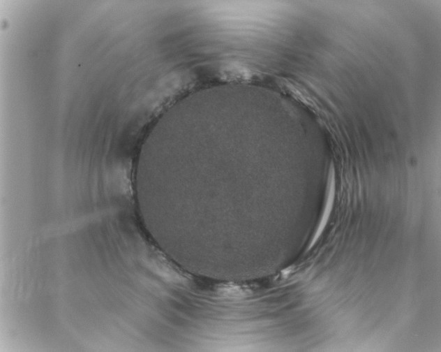 X0000088430616200705221249