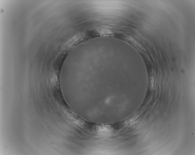 X0000088430618200705221249