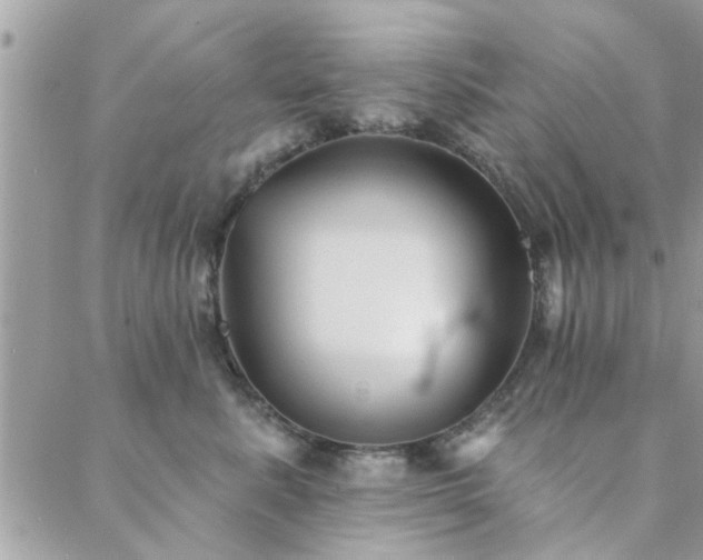 X0000088430619200705221249