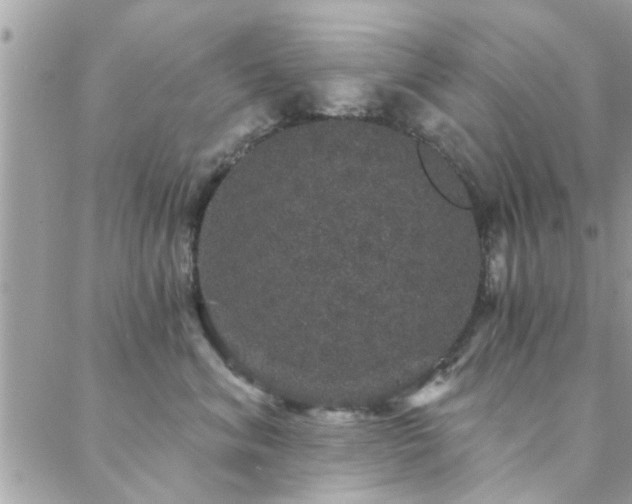 X0000088430620200705221249