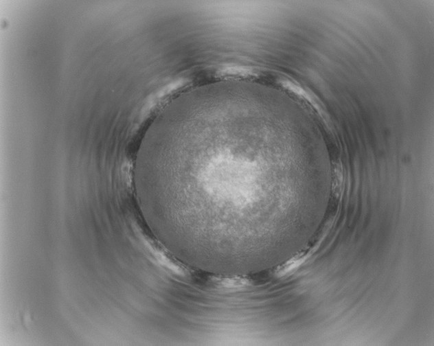 X0000088430621200705221249