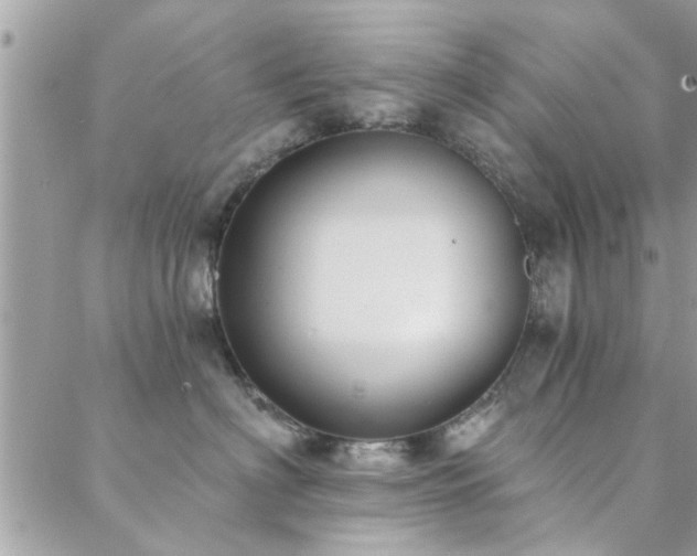 X0000088430622200705221249