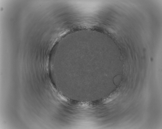 X0000088430624200705221249