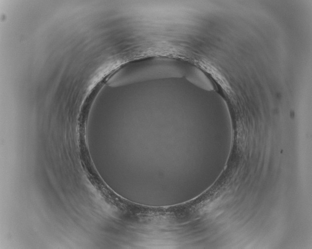 X0000088430626200705221248