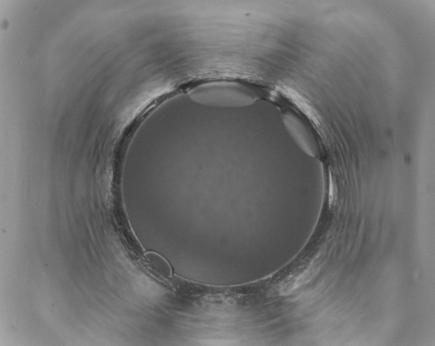 X0000088430627200705221248