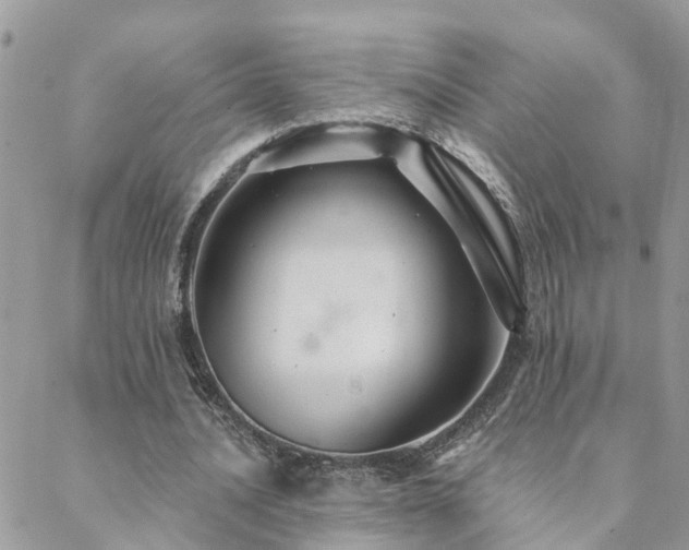 X0000088430628200705221248