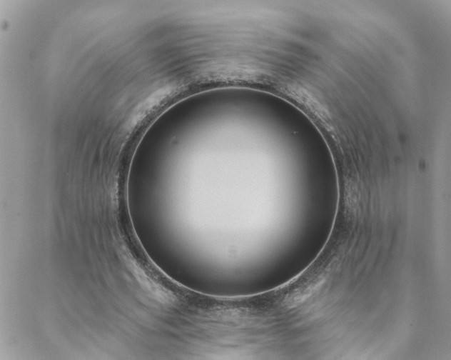 X0000088430629200705221248