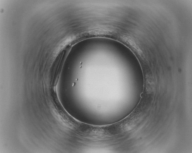 X0000088430631200705221248