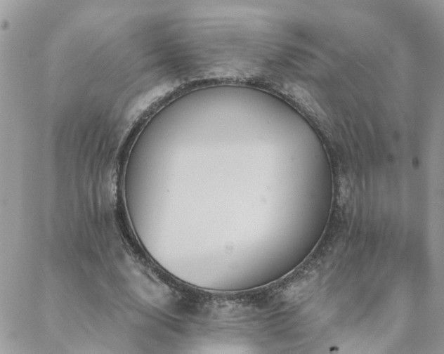 X0000088430632200705221248