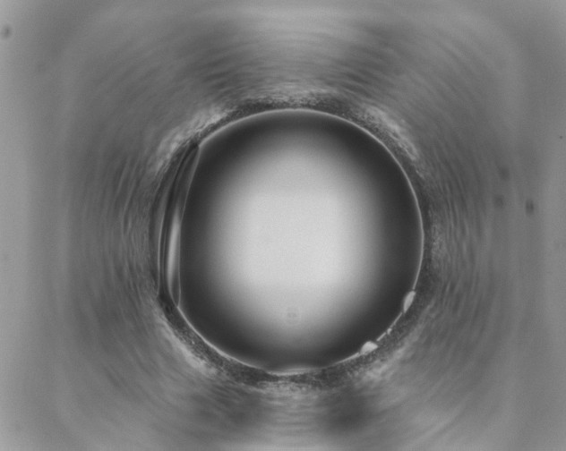 X0000088430633200705221248