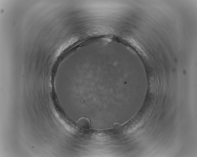 X0000088430634200705221248