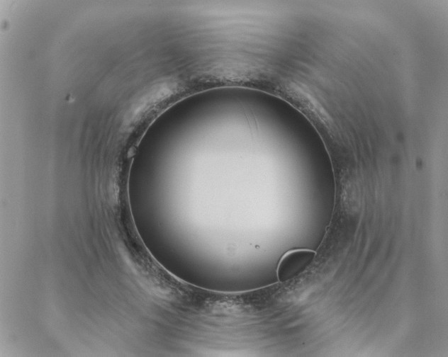 X0000088430635200705221248