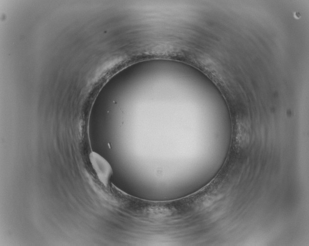 X0000088430636200705221248