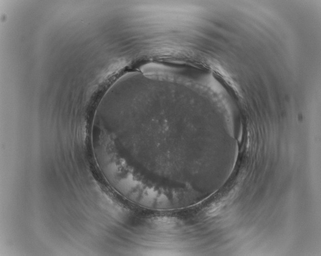 X0000088430637200705221248