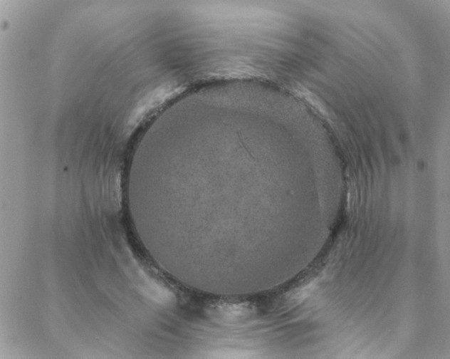 X0000088430638200705221248