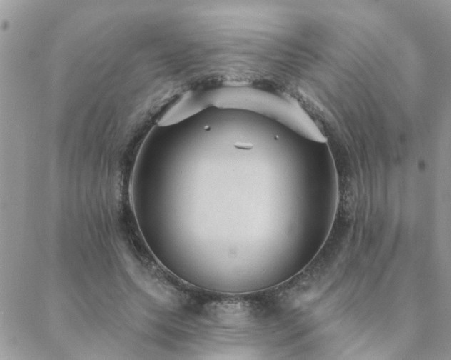 X0000088430639200705221248